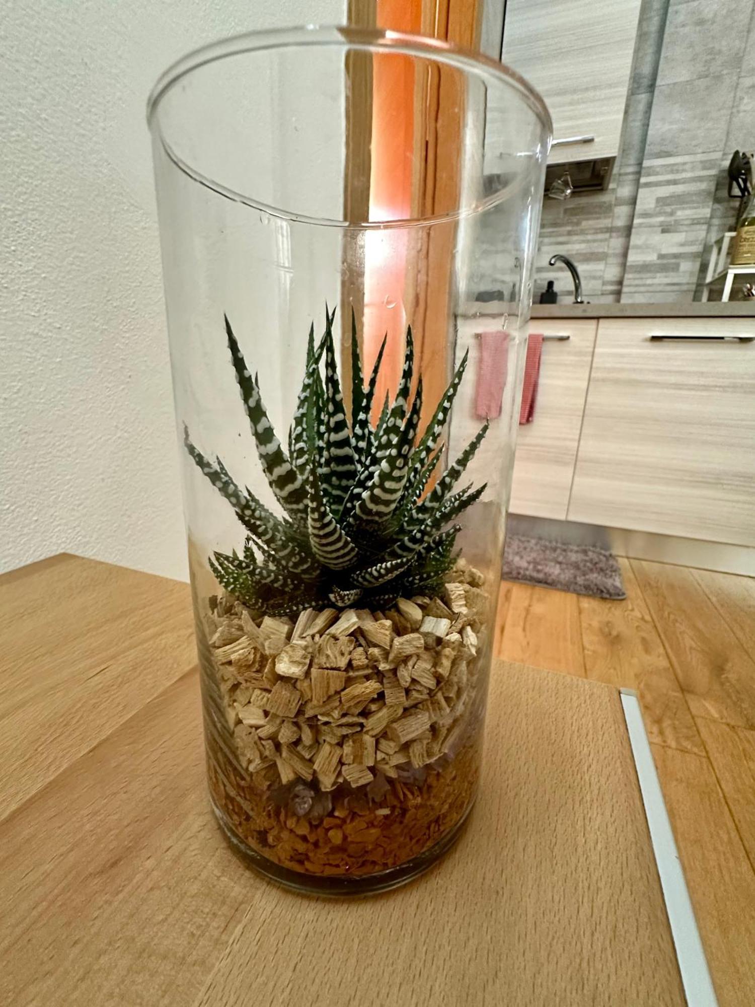 Casalory Rent Apartment Florencja Zewnętrze zdjęcie